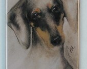 Doxie  Dachshund  Dog Art Magnet By Cori Solomon