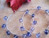 Blue Iris Earrings