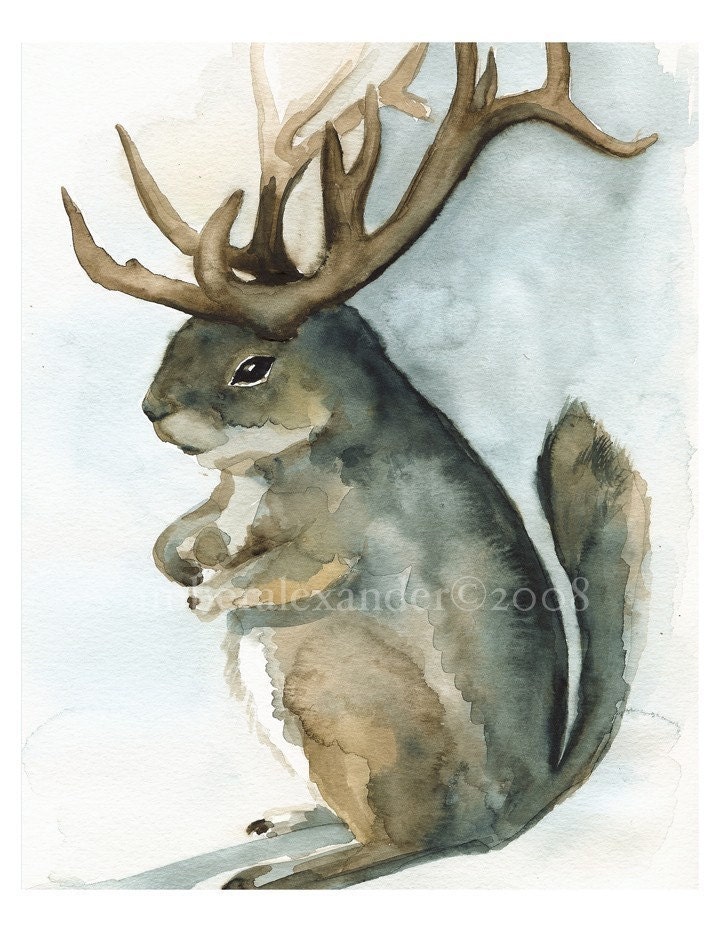 Mature Antelope Squirrel-Squirrel Art, antler