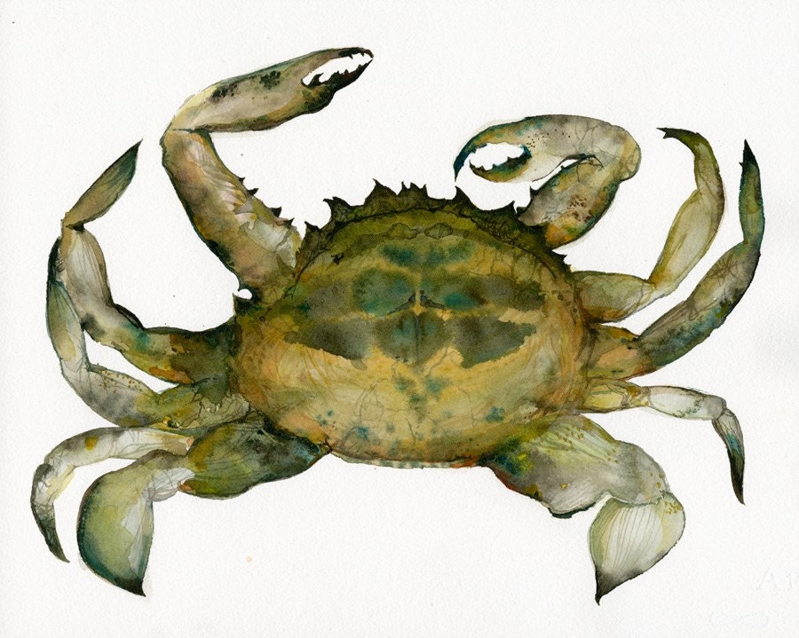 Crab Watercolor- Archival print, Nautical art, beach, ocean