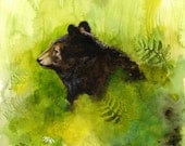 Meadow- Bear in Meadow Limited Edition Archival Print