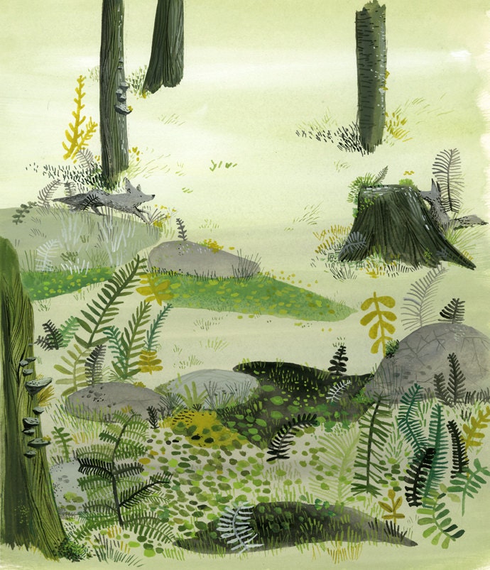 Grey Foxes in the Fern Dell Archival Print
