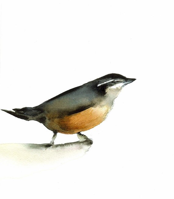 Nuthatch Archival print of original watercolor- bird art, cottage chic, shabby chic
