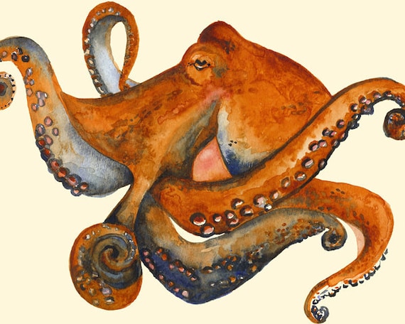 Octo- Octopus Art- 11 x 17 print