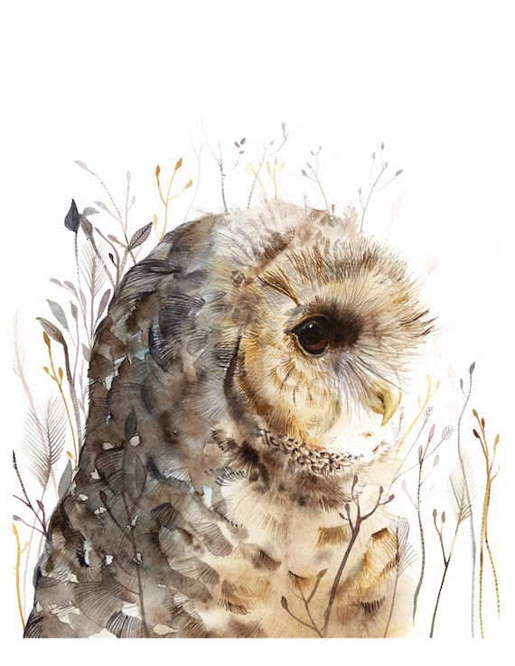 watercolor painting- Owl art- Spotted Owl -large print after original watercolor