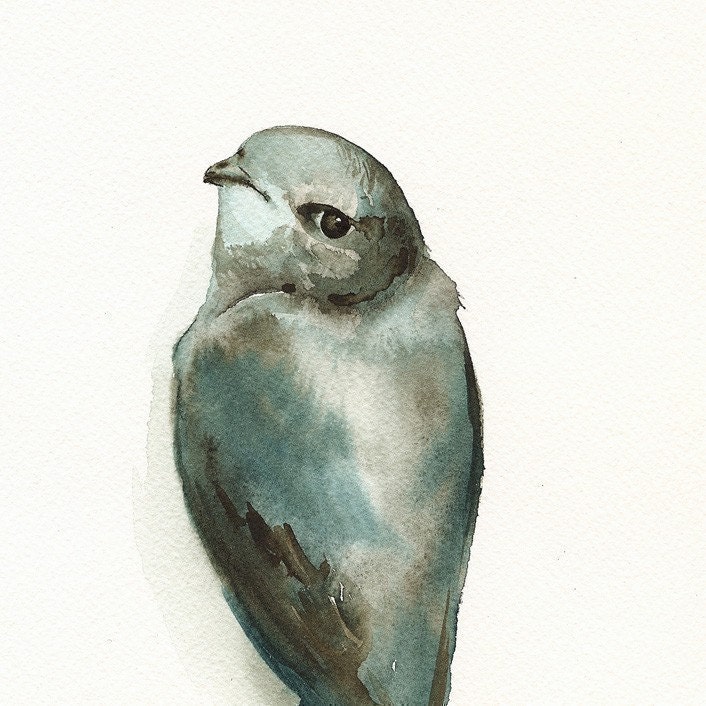 bird art -Miss Adorable - Print