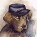 Civil War Pup- Chocolate Lab Art