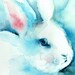 Blue- Archival Rabbit print, children, decor, nursery