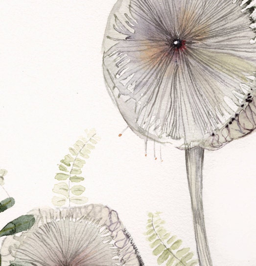 Maidenhair and Mushrooms Archival Print