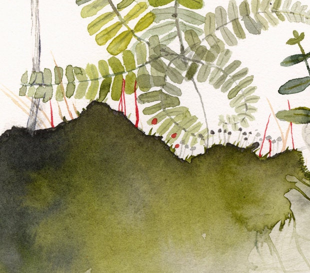 Maidenhair and Mushrooms Archival Print
