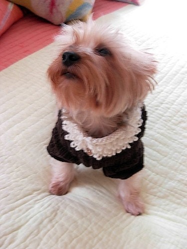 ROOT BEER FLOAT Original Dog Sweater Knitting Pattern \/ NEW