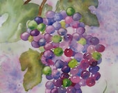 Art, Fine Art-On the Vine-Original Watercolor Painting of Grapes