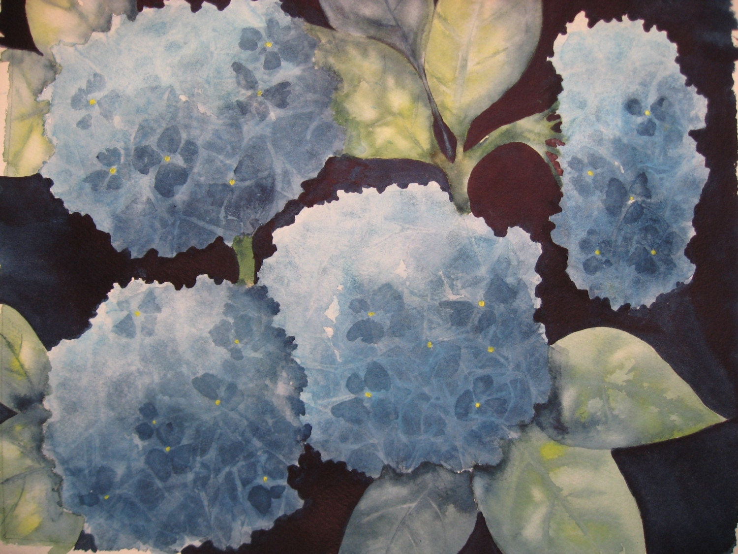 Heavenly Blue Hydrangeas-Print of Watercolor