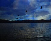 SALE - Sky and water cobalt collage - Twilight Unveils the Secrets of the Sea 8x10 Fine Art Home decor, Dark blue twilight sky, birds, water