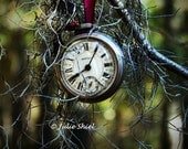 Entropy - 8x10 Bokeh Art Photography, Antique Pocketwatch in forest, Spanish Moss Woodland fantasy steampunk Green, Gray Home Decor