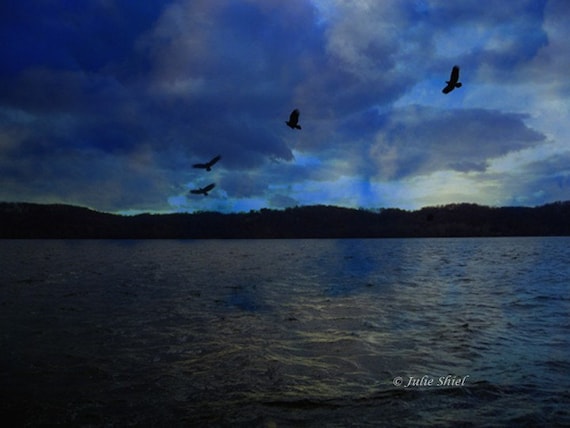SALE - Sky and water cobalt collage - Twilight Unveils the Secrets of the Sea 8x10 Fine Art Home decor, Dark blue twilight sky, birds, water