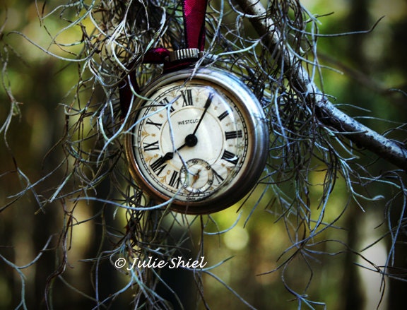 Entropy - 8x10 Bokeh Art Photography, Antique Pocketwatch in forest, Spanish Moss Woodland fantasy steampunk Green, Gray Home Decor
