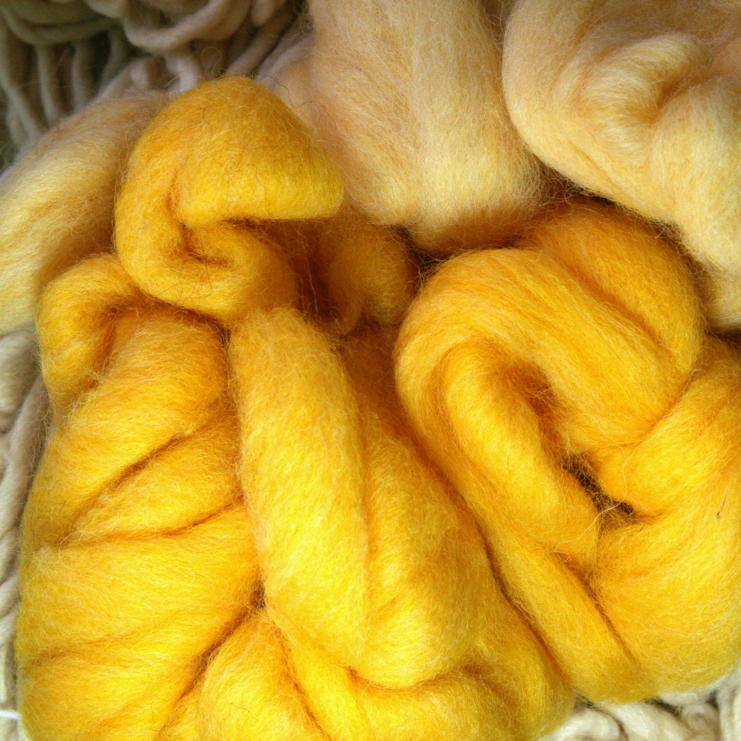 five for five roving pack