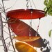 Bird Feeder Eco Friendly recycled, Up-cycled birdfeeder