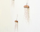 Oh Jellyfish, Jellyfish... Sea Urchin Ornaments