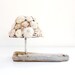 Sea Light - Tea Light Candle Holder - Soldered Limpet Shells, Metal, Driftwood