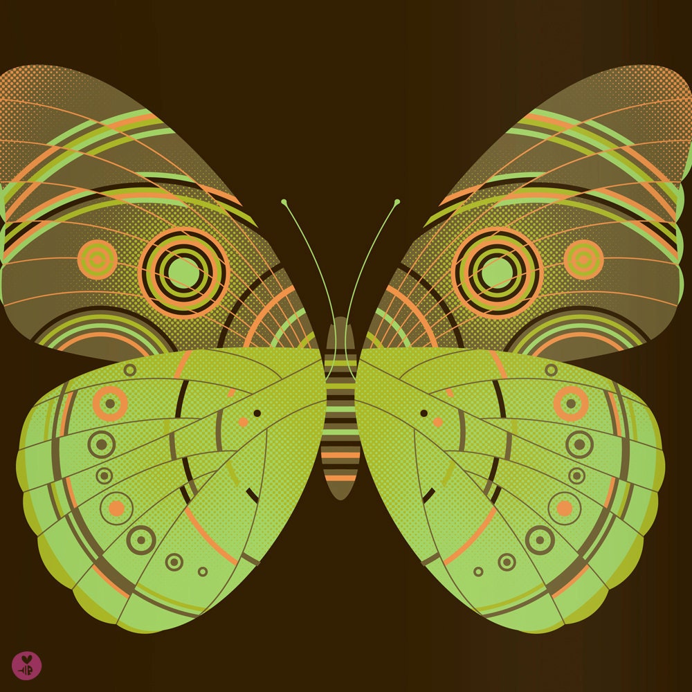 forest owl moth limited edition print