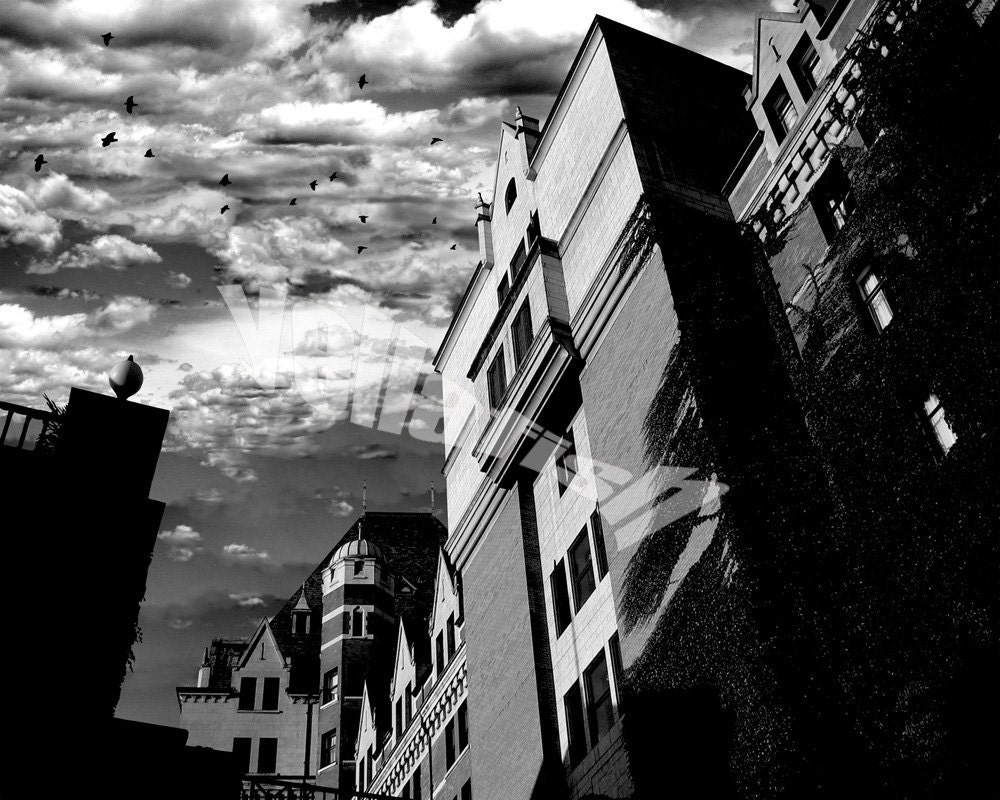 Crows Warning-8x10 Fine Art Print