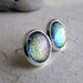 Purple Sparkle Earrings - Amazement Purple Lime Shifters in Silver