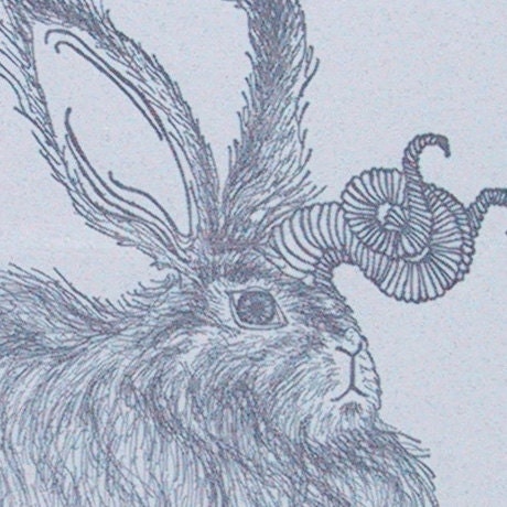 Fluffy but Feisty Angora Bunnylope