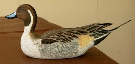Woodcarving of a Northern Pintail Drake