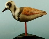 Wood Carving of a Ruddy Turnstone Decoy