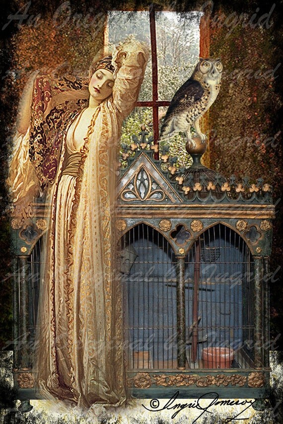 Beauty and the Owl Digital Collage Greeting Card (Suitable for Framing)