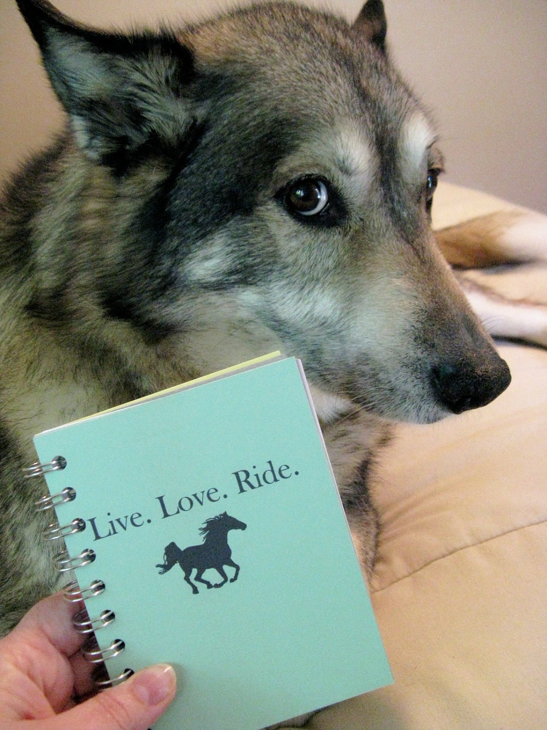 Journal - Live. Love. Ride. (horse) - Custom, Made to Order Sketchbook BLANK pages