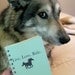 Journal - Live. Love. Ride. (horse) - Custom, Made to Order Sketchbook BLANK pages
