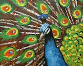 Print Peacock9 10x10 inch Print from oil painting by Roz