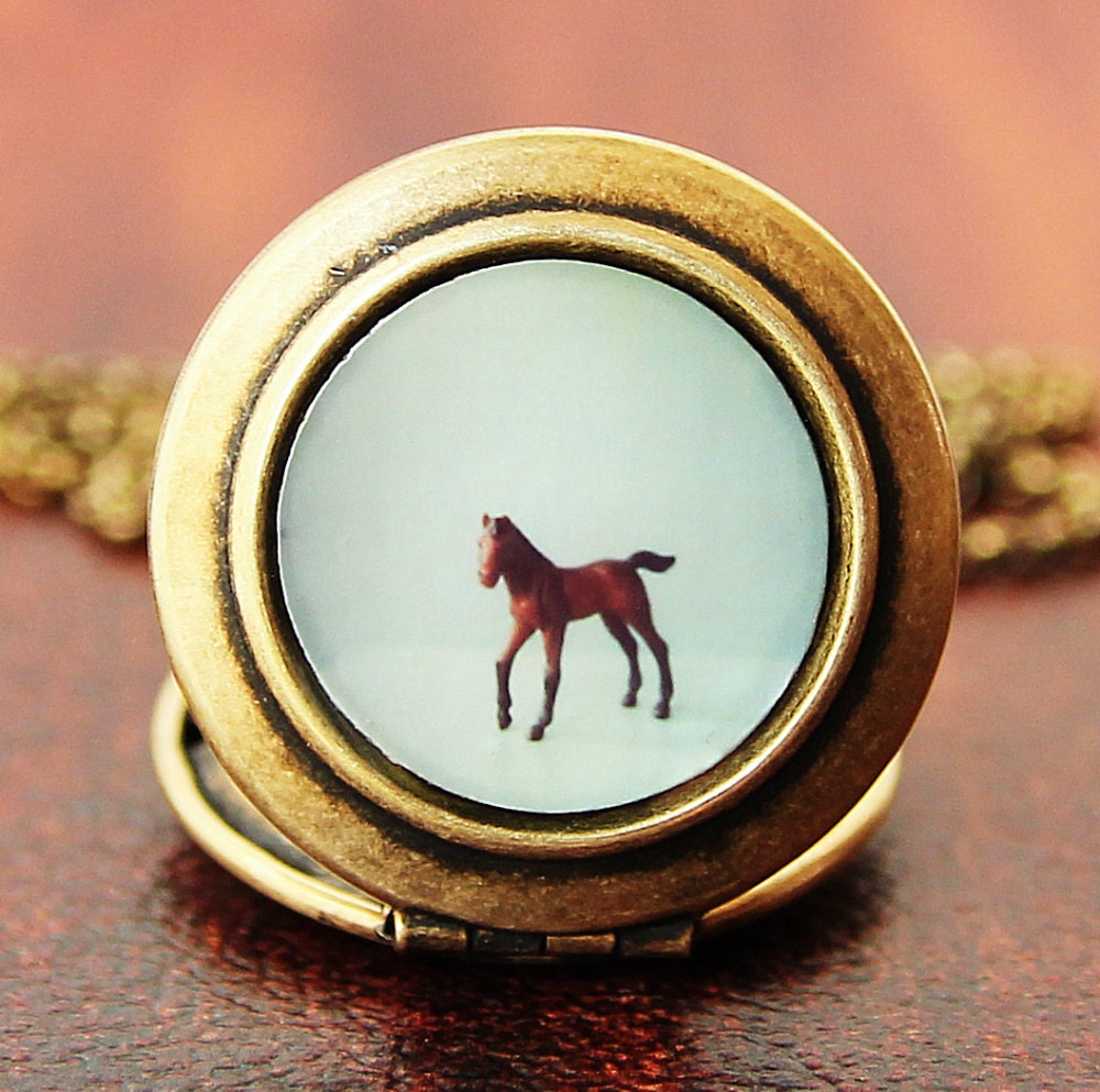 The Horse - Photo Locket Necklace - Collaboration with SusannahTucker