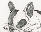 Custom Pet Portrait-Original Graphite Pencil Drawing-8 x 10 Dog Art-Carla Smale