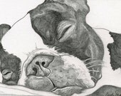 Custom Pet Portrait-Original Graphite or Colored Pencil Drawing-16 x 20- Dog Art-Carla Smale