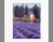 FREE SHIPPING on any Limited Edition Fine Art Photograph matted to 20x24 (Lavender 1 shown)