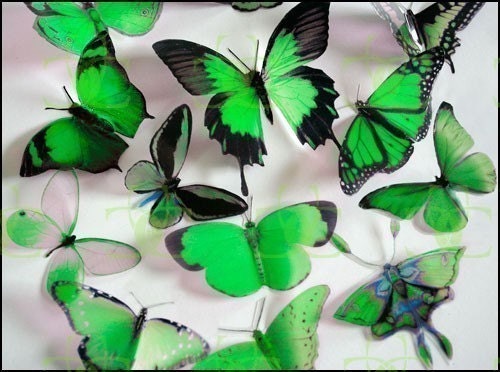 3D Butterflies - 12 x Green for Weddings, Cake Toppers, Crafts, Wall Art, Nurseries and  Scrapbooking