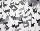 A Cat Hoard / Professional Digital Print / 8x11