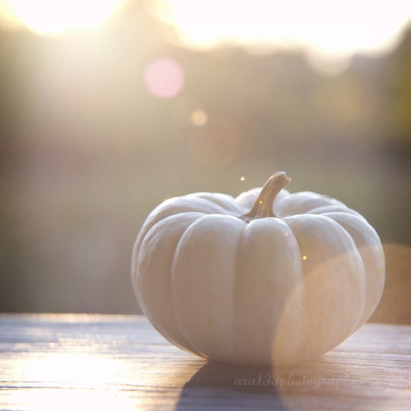 Autumn Decor - 8x8 inch Photograph - "October Dusk" - ara133photography