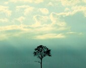 Minimalist Wall Art, Nature Photograph, Tree Photography, Nature Photo - 8x10 inch Print - One Tree