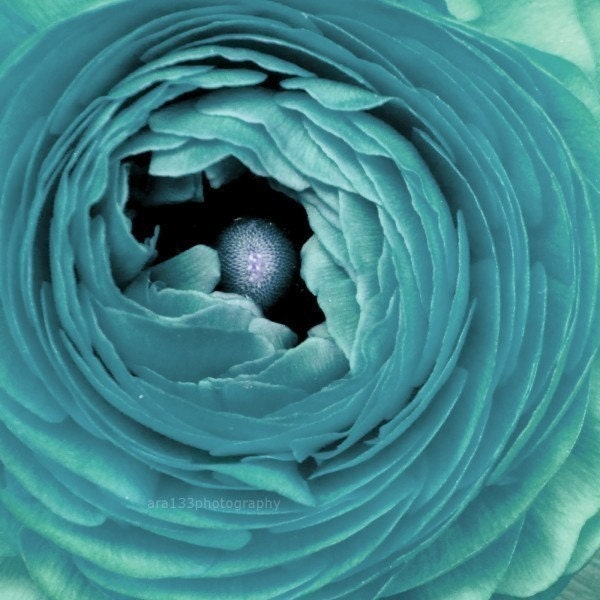 Shabby Chic Home Decor, Flower Photograph, Still Life Photo, Nature Picture, Teal, Close Up, Macro, Abstract- 5x5 inch Print -Sea Flower