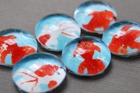Koi - Glass Pebble Magnets - Set of 6