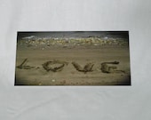 Love You Always - mounted photograph