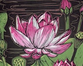 Nature Art, Lotus Flower, Black, Magenta, and Green, flower, buds, seeds, Woodblock Print