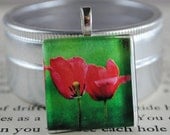 Love Blooms Fine Art Photo Glass Tile Pendant - Tulips - Red Blossoms - Red Flowers - Nature Photography