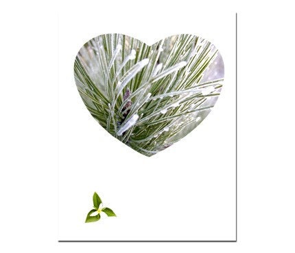 Greeting Card Frozen Heart Handmade Original Art Photography no.3