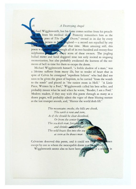 Vintage Book print art birds print recycled book page upcycled art